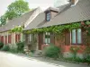 Gerberoy - Brick and stone houses with lavender, flowers, rosebushes (roses), wisterias and plants