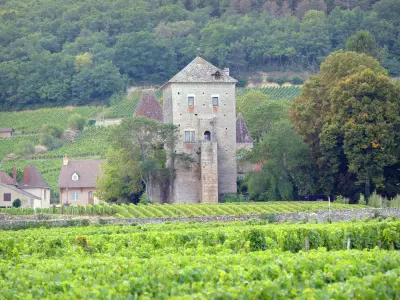 Gevrey-Chambertin castle