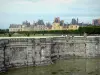 Giardini del castello di Fontainebleau - Cascate del bacino, Parterre di grandi dimensioni (giardino alla francese) e le facciate del palazzo di Fontainebleau