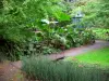 Giardino Pré Catelan - Le piante, gazebo (produttore di giardino) e alberi del parco, a Illiers-Combray