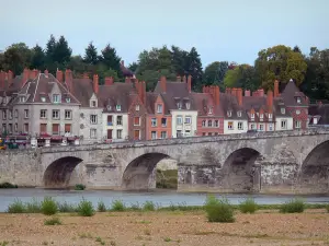 Gien - Häuser der Stadt, Bäume, und Brücke überspannend den Fluss Loire