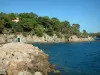 Giens半岛 - 尼尔港，地中海，野生海岸和松树林（松树林）的岩石和小灯塔