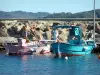 Giens半岛 - 从尼尔港的五颜六色的渔船