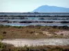 Giens peninsula - Pesquiers salt marshes and hill in background