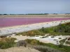 Giraud Saltworks