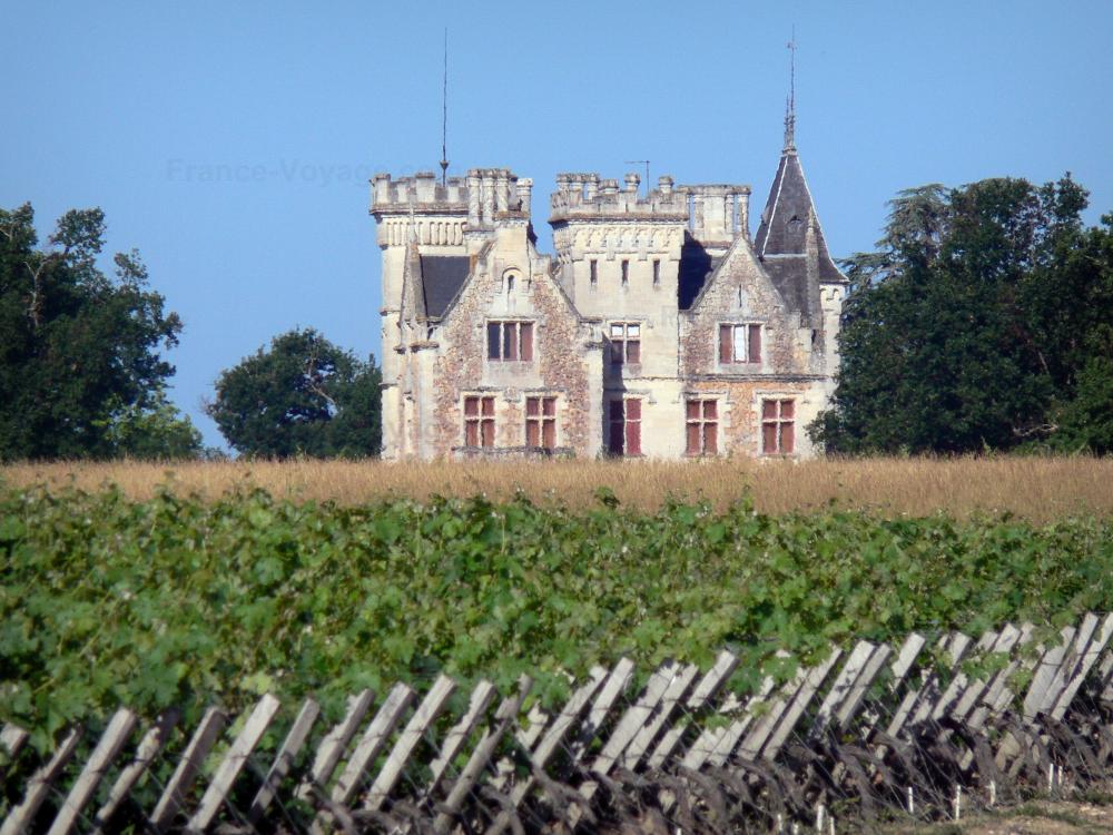 Guide de la Gironde - Paysages de la Gironde - Vignoble de Bordeaux : château Lachesnaye, domaine viticole à Cussac-Fort-Médoc, et vignes au premier plan