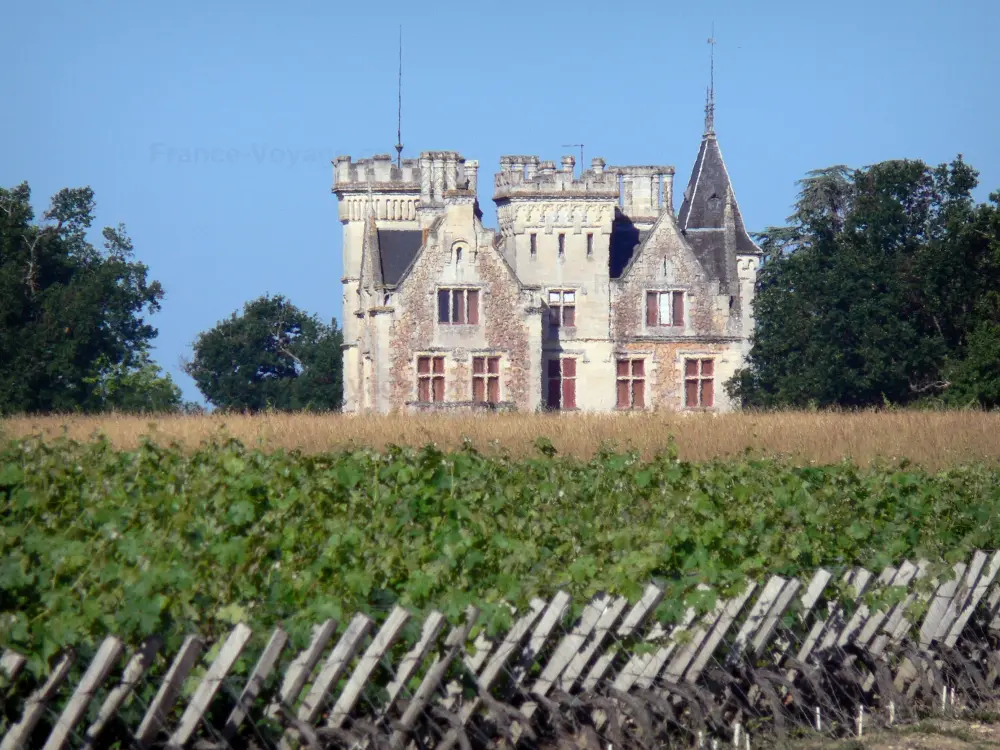 Gids van de Gironde - Landschappen van Gironde - Wijngaarden van Bordeaux : Lachesnaye kasteel, wijngaard, Cussac - Fort- Medoc, en wijngaarden op de voorgrond