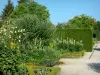Giverny - Jardim do Museu do Impressionismo