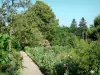 Giverny - Jardin de Monet : Clos Normand : allée bordée de massifs de fleurs