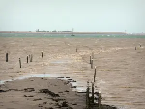 Gois passage - Submersible road at high tide