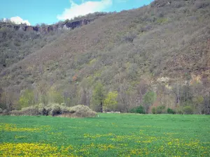 Gole dell'Alagnon - Prato fiorito in mezzo alle gole