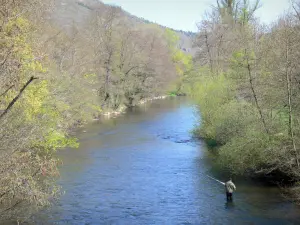 Gole dell'Alagnon - Pescatore nel fiume Alagnon e alberi lungo l'acqua