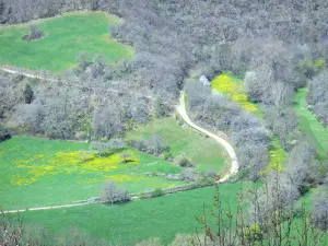 Gole dell'Alagnon - Vista sul paesaggio verde e boscoso della valle di Alagnon dal sito del castello di Léotoing