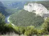 Gole dell'Ardèche - Le foreste e scogliere calcaree che si affacciano sul fiume Ardèche