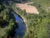 Gole dell'Aveyron - Veduta del fiume Aveyron, alberata