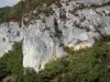 Gole dell'Aveyron - Una scogliera di calcare (rock) e la vegetazione