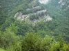 Gole del Flumen - Pareti rocciose del canyon e alberi nel Parco Naturale Regionale di Haut-Jura