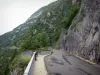 Gole del Flumen - Percorso gole, belvedere (punto di vista), pareti di roccia e alberi nel Parco Naturale Regionale di Haut-Jura