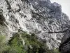 Gole di Galamus - Tortuosa strada attraverso la gola