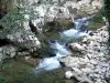Gole del Guiers Mort - Chartreuse (Parco Naturale Regionale della Chartreuse): sassi di fiume e le rocce