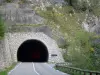 Gole del Guiers Mort - Chartreuse (Parco Naturale Regionale della Chartreuse): Tunnel stradale Fourvoirie e gole