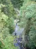 Gole del Guiers Mort - Chartreuse (Parco Naturale Regionale della Chartreuse): vista sul fiume fiancheggiato da alberi