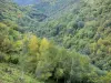 Gole della Truyère - Paesaggio verde