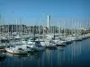 Golfe du Morbihan - Port du Crouesty : rangées de bateaux de plaisance