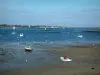 Golfe du Morbihan - Plage de sable, mer avec de petits bateaux et barques, côte au loin