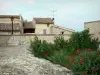 Golfinho - Plantas e flores em primeiro plano, poste e casas da aldeia Provençal