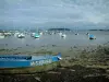 Golfo del Morbihan - Barca blu e la spiaggia ricoperta di alghe, mare e barche, isole al largo