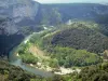 Gorges de l'Ardèche - Panorama sur le méandre du Pas du Mousse depuis le belvédère du Serre de Tourre