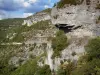 Gorges de l'Aveyron - Parois rocheuses (falaises calcaires) et route des gorges