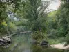 Gorges de l'Aveyron - Rivière Aveyron bordée d'arbres