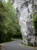 Gorges de l'Aveyron - Falaises calcaires (parois rocheuses) et arbres bordant la route des gorges