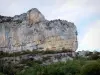 Gorges de l'Aveyron - Falaise calcaire (paroi rocheuse) surplombant la verdure