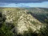 Gorges du Chassezac - Vue sur les falaises (parois rocheuses) des gorges granitiques depuis le belvédère du Chassezac ; dans le Parc National des Cévennes