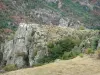 Gorges du Chassezac - Parois rocheuses et végétation des gorges granitiques ; dans le Parc National des Cévennes