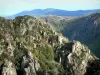 Gorges du Chassezac - Vue sur les gorges granitiques ; dans le Parc National des Cévennes