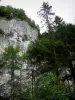 Gorges du Doubs - Falaise (paroi rocheuse) et arbres