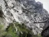 Gorges de Galamus - Route sillonnant à travers les gorges