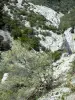 Gorges de Galamus - Parois rocheuses et végétation