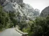 Gorges de Galamus - Parois rocheuses dominant la route des gorges bordée d'arbres