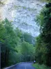 Gorges des Gats - Falaise surplombant la route des gorges bordée d'arbres