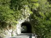 Gorges du Guiers Mort - Massif de la Chartreuse (Parc Naturel Régional de Chartreuse) : tunnel, route des gorges et arbres