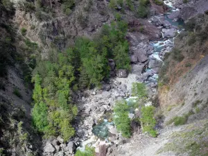 Gorges du Guil - Torrent du Guil, arbres et rochers ; dans le Parc Naturel Régional du Queyras