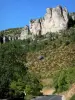 Gorges de la Jonte - Route des gorges, bordée d'arbres, dominée par des rochers et falaises calcaires ; dans le Parc National des Cévennes