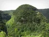 Gorges de Nouailles - Paysage verdoyant