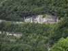 Gorges de Nouailles - Parois rocheuses et arbres