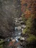 Gorges du pont du Diable - Arbres et torrent avec des rochers